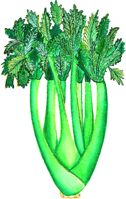 Mini Garden DIY Pattern PDF - Image 2